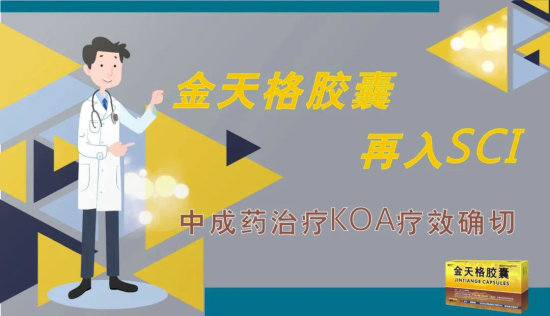 金天格胶囊再入SCI 中成药治疗KOA疗效确切 金天格胶囊再入SCI 中成药治疗KOA疗效确切