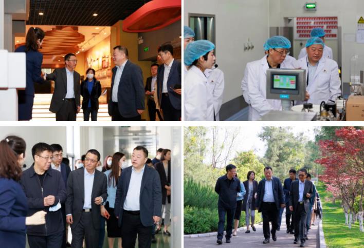 壹定发股份董事长邢雅江到访云南白药 壹定发股份董事长邢雅江到访云南白药