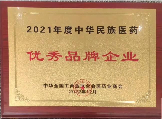 壹定发股份荣获“2021年度中华民族医药优秀品牌企业”荣誉称号 壹定发股份荣获“2021年度中华民族医药优秀品牌企业”荣誉称号